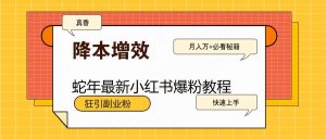 蛇年最新小红书爆粉教程,狂引副业粉,月入万+必看-湘创网