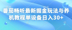 番茄畅听最新掘金玩法与养机教程单设备日入30+-湘创网