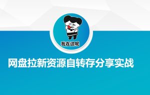 网盘拉新资源自动转存分享实战-湘创网
