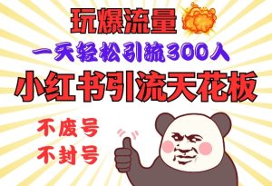小红书引流天花板,玩爆流量,一天轻松引流300人,安全操作-湘创网