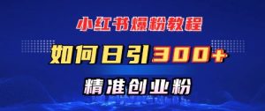小红书爆粉教程,如何日引300+创业粉,快速实现精准变现-湘创网