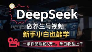(14270期)小白用DeepSeek做养生号,一条作品涨粉5万+,单日收益上千-湘创网