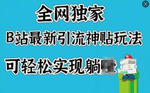 全网独家,B站最新引流神贴玩法,可轻松实现躺Z-湘创网
