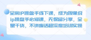 全案IP操盘手线下课,成为现象级ip操盘手必修课,无保留分享,全是干货,不讲废话超深度培训实操-湘创网