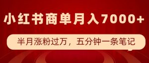 小红书商单最新玩法,半个月涨粉过万,五分钟一条笔记,月入7000+-湘创网