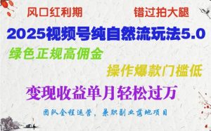 2025视频号纯自然流玩法5.0,绿色正规高佣金,操作爆款门槛低,变现收益单月轻松过万-湘创网
