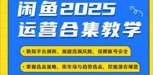 2025闲鱼电商运营全集,2025最新咸鱼玩法-湘创网