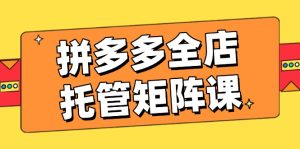(14328期)拼多多全店托管矩阵课,盈利动销玩法,高效计划设置,提升店铺效益-湘创网