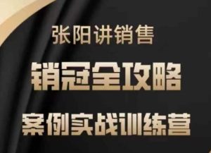 张阳讲销售实战训练营,案例实战训练,销冠全攻略-湘创网