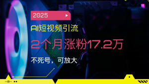 (14213期)2025AI短视频引流,2个月涨粉17.2万,不死号,可放大-湘创网