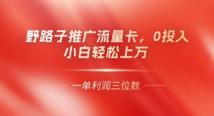 0门槛推广流量卡,一单收益上百,0投入,小白月入过W-湘创网