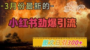 小红书超劲爆引流手段，图文日引300+轻松变现1W-湘创网