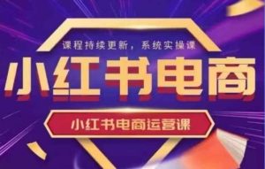 小红书电商运营实操课,新手从0~1落地实操-湘创网