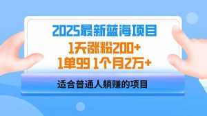 (14573期)2025蓝海项目 1天涨粉200+ 1单99 1个月2万+-湘创网