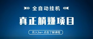 全自动挂机项目 月入3w+ 真正躺平项目 不吃电脑配置 当天见收益-湘创网