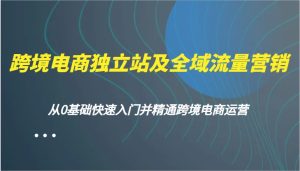 跨境电商独立站及全域流量营销,从0基础快速入门并精通跨境电商运营-湘创网