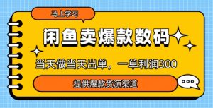 闲鱼卖爆款货源,当天做当天出单,一单利润3张-湘创网