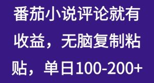 番茄小说评论就有收益,无脑复制粘贴,单日100-200+-湘创网