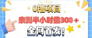 全网首发, 正规平台 半小时撸30+每天做做任务 亲测提现秒到账-湘创网