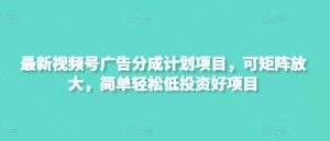最新视频号广告分成计划项目,可矩阵放大,简单轻松低投资好项目-湘创网