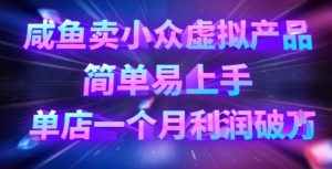 咸鱼卖小众虚拟产品,简单易上手,单店一个月利润破W-湘创网