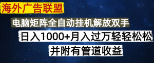 (14540期)海外广告联盟每天几分钟日入1000+无脑操作,可矩阵并附有管道收益-湘创网