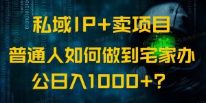 (14400期)私域IP+卖项目,普通人如何做到宅家办公实现日入1000+-湘创网