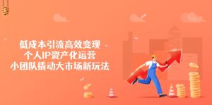 (14555期)低成本引流高效变现,个人IP资产化运营,小团队撬动大市场新玩法-湘创网