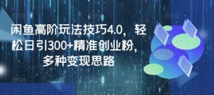 闲鱼高阶玩法技巧4.0,轻松日引300+精准创业粉,多种变现思路-湘创网