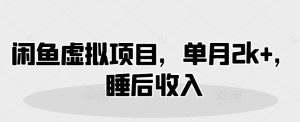 闲鱼虚拟项目,单月2k+,睡后收入-湘创网