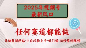 (14453期)2025年视频号新风口,低门槛只需要无脑执行-湘创网