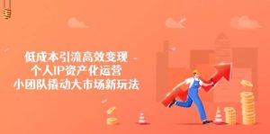低成本引流高效变现,个人IP资产化运营,小团队撬动大市场新玩法-湘创网