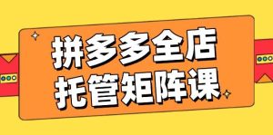 拼多多全店托管矩阵课,盈利动销玩法,高效计划设置,提升店铺效益-湘创网