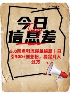 5.0闲鱼引流爆单秘籍,日引300+创业粉,稳定月入过W-湘创网