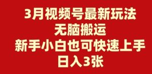 3月视频号最新玩法，无脑搬运，新手小白也可快速上手，日入3张-湘创网