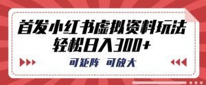 首发小红书虚拟资料玩法，可矩阵，可放大，轻松日入3张-湘创网