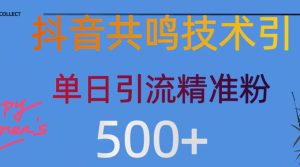 抖音情感引流创业粉,自然低成本,日引500+-湘创网