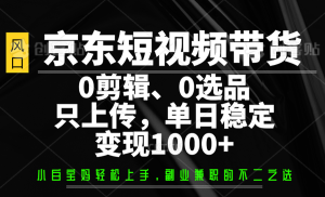 京东短视频带货,0剪辑,0选品,只上传,单日稳定变现1000+-湘创网