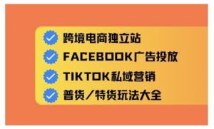 跨境电商独立站及全域流量营销,从0基础快速入门并精通跨境电商运营-湘创网