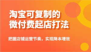 淘宝可复制的微付费起店打法,把握店铺运营节奏,实现降本增效!-湘创网