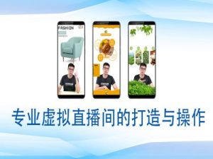 个人虚拟直播间的搭建与操作,专业虚拟直播间的打造与操作-湘创网