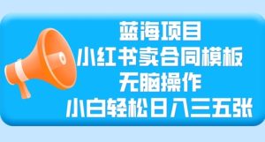 蓝海项目,小红书卖合同模板,无脑操作,小白轻松日入三张-湘创网