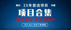 (14175期)2025 实操项目合集 挂机类型 直播类型 轻资产创业类型 课程分享各项目...-湘创网