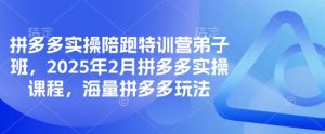 拼多多实操陪跑特训营弟子班，2025年2月拼多多实操课程，海量拼多多玩法-湘创网