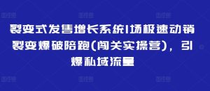 裂变式发售增长系统1场极速动销裂变爆破陪跑(闯关实操营),引爆私域流量-湘创网