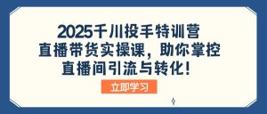 (14423期)2025千川投手特训营:直播带货实操课,助你掌控直播间引流与转化!-湘创网