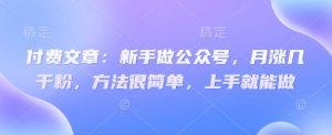 付费文章：新手做公众号，月涨几干粉，方法很简单，上手就能做-湘创网