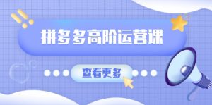 (14327期)拼多多高阶运营课:极致群爆款玩法,轻付费无尽复制,打造单品爆款之路-湘创网
