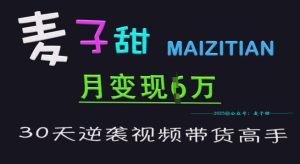 麦子甜30天逆袭视频带货高手,单月变现6W加特训营-湘创网