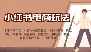 小红书电商玩法：带货/选品/找素材/裂变/数据分析/供应商/发货/售后/开店思维等-湘创网